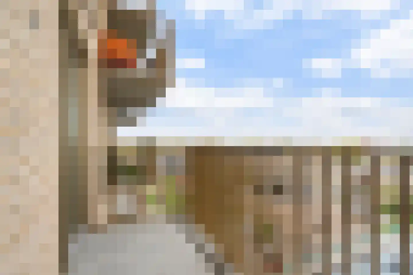 Jaap van der Hoekplaats 176 Rotterdam thumbnail 14