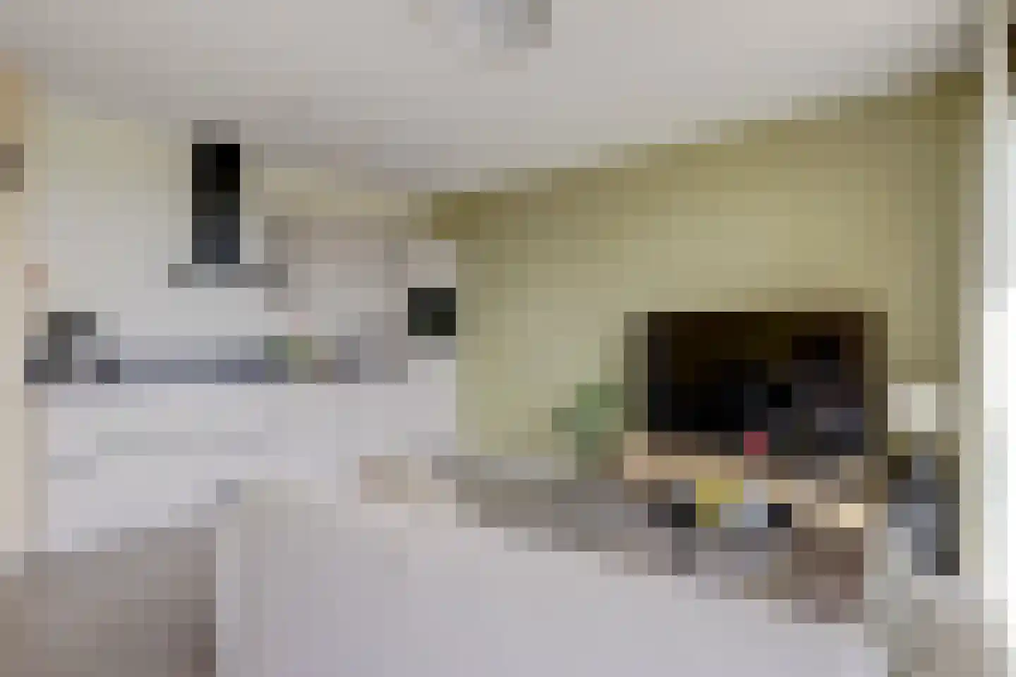 Jaap van der Hoekplaats 234 Rotterdam thumbnail 12