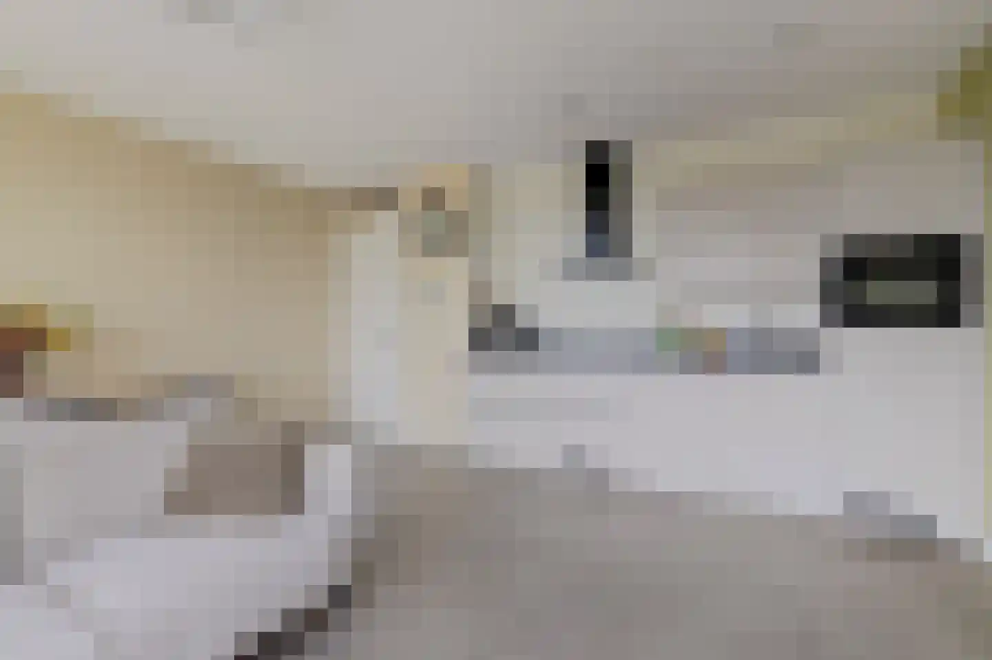 Jaap van der Hoekplaats 234 Rotterdam thumbnail 15