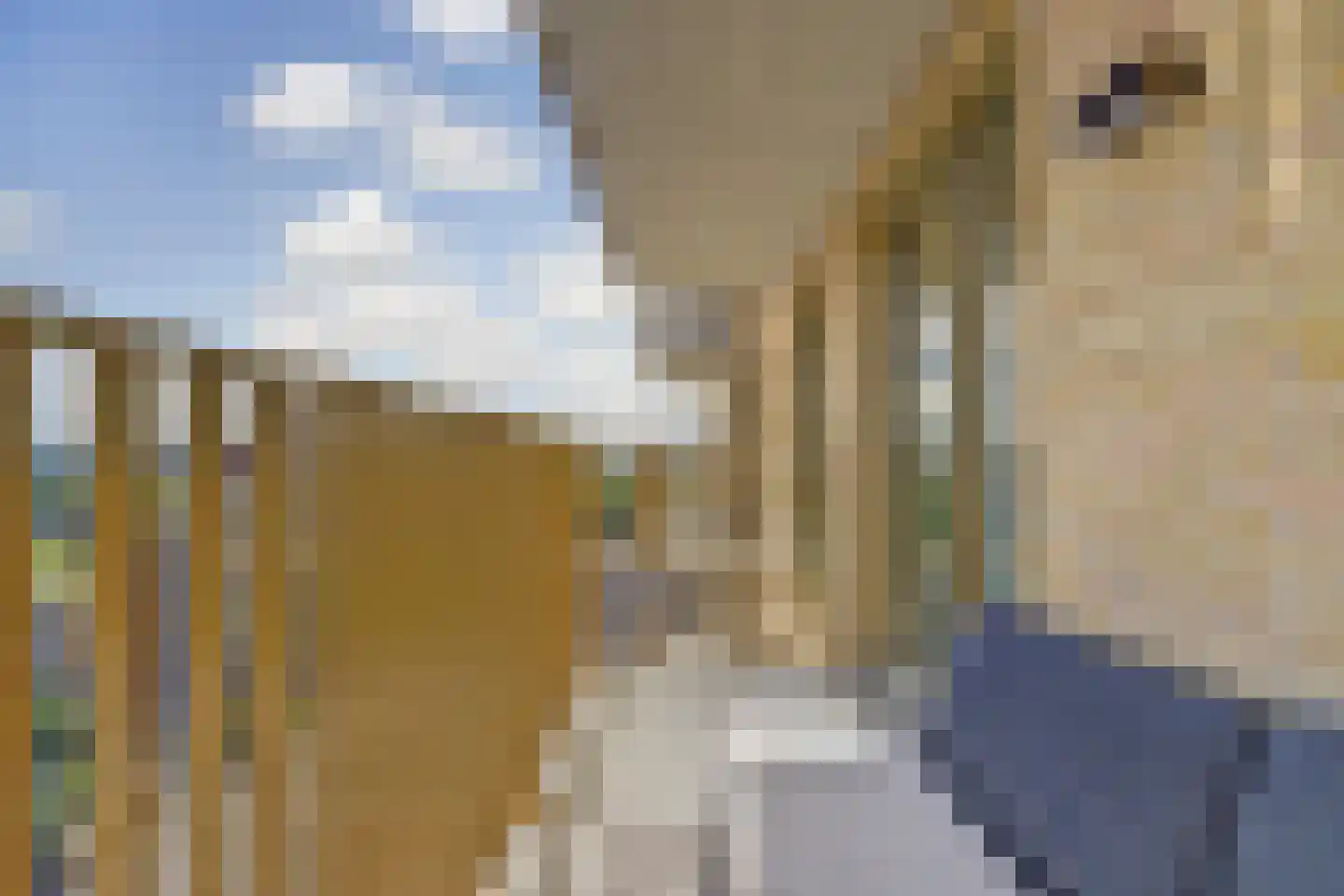 Jaap van der Hoekplaats 234 Rotterdam thumbnail 24