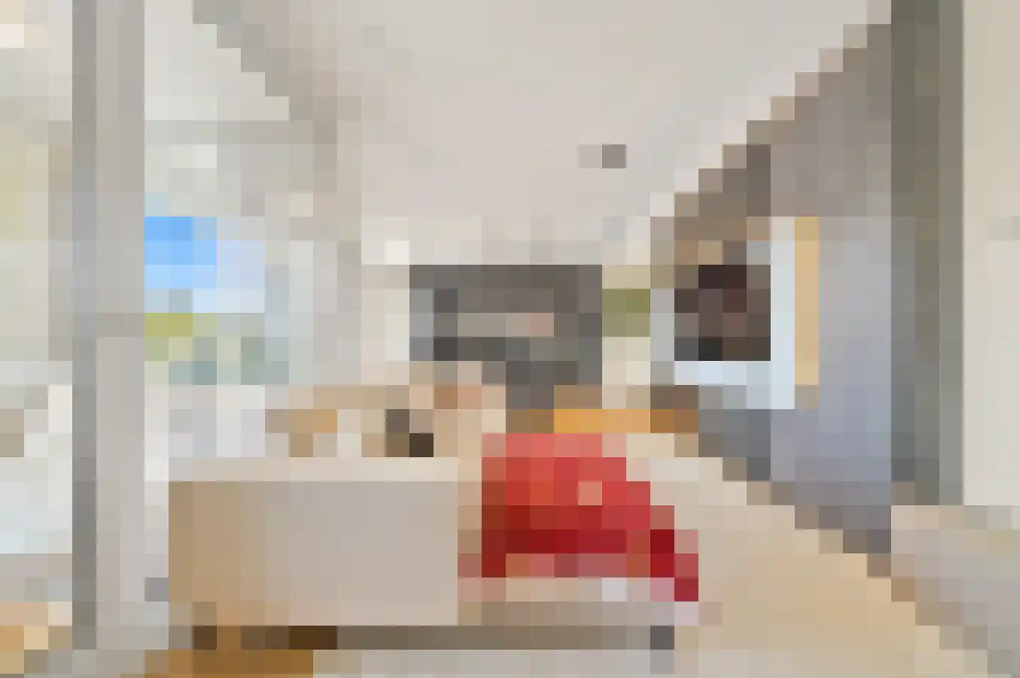 Jaap van der Hoekplaats 62 Rotterdam thumbnail 11