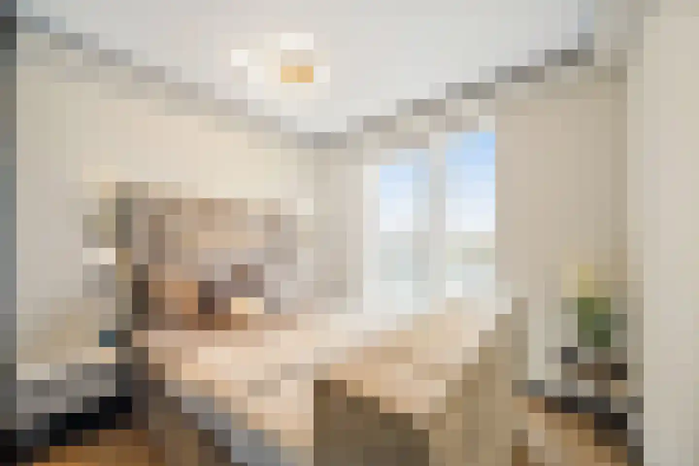 Jaap van der Hoekplaats 62 Rotterdam thumbnail 25