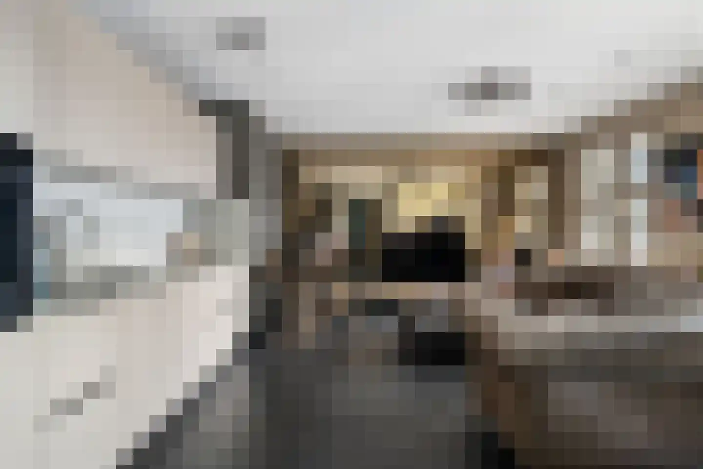 Jaap van der Hoekplaats 68 Rotterdam thumbnail 4