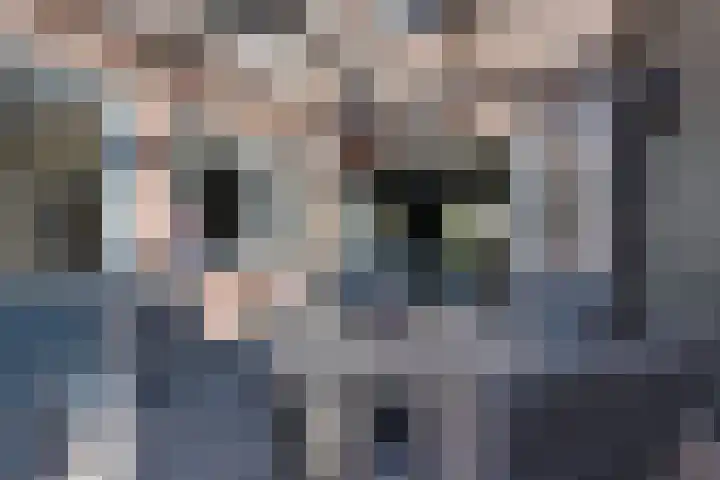 Jaap Zwarthoedstraat 17 Volendam thumbnail 33