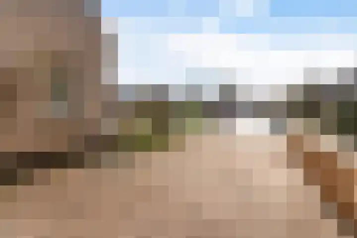 Jaarlastins 43 Leeuwarden thumbnail 10