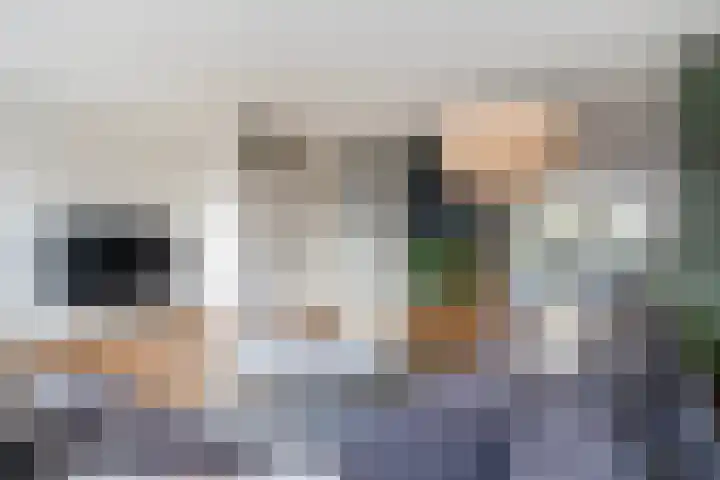 Jaarlastins 43 Leeuwarden thumbnail 22
