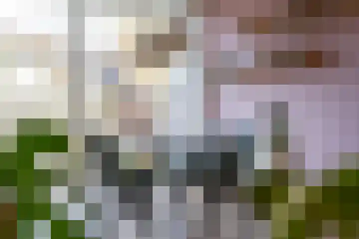 Jaarlastins 43 Leeuwarden thumbnail 23