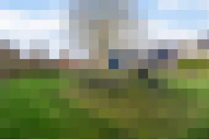Jaarlastins 43 Leeuwarden thumbnail 50
