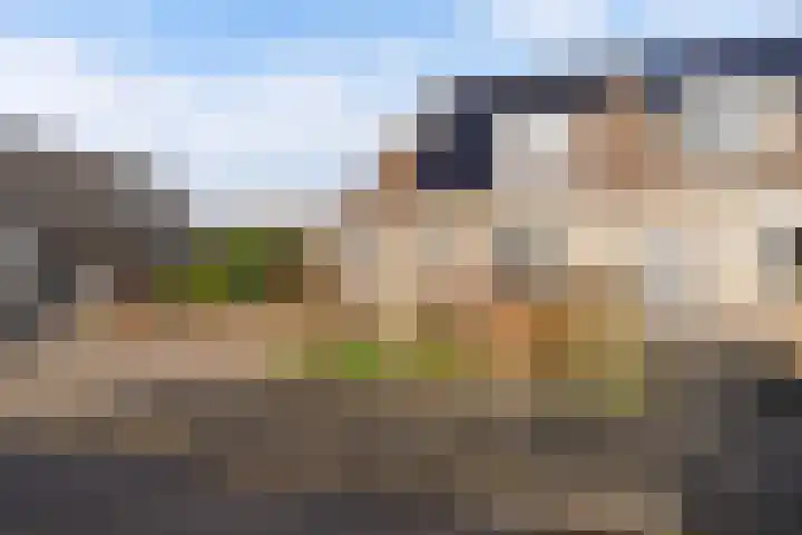 Jaarlastins 43 Leeuwarden thumbnail 7