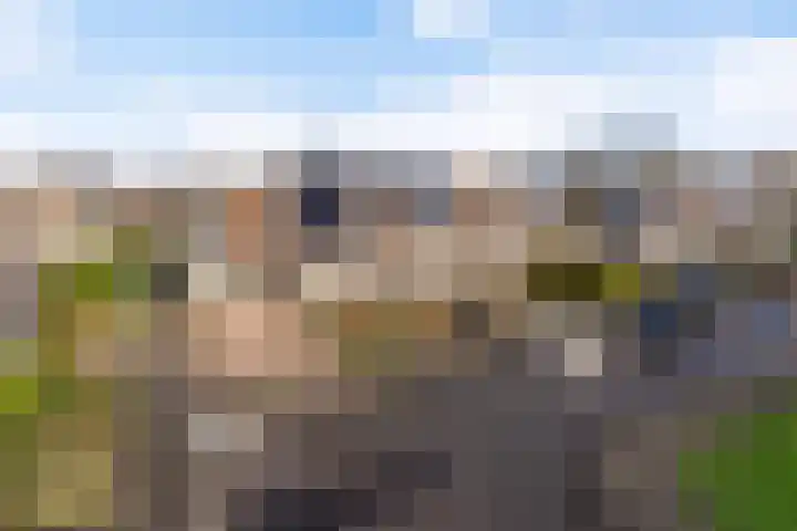 Jaarlastins 43 Leeuwarden thumbnail 9