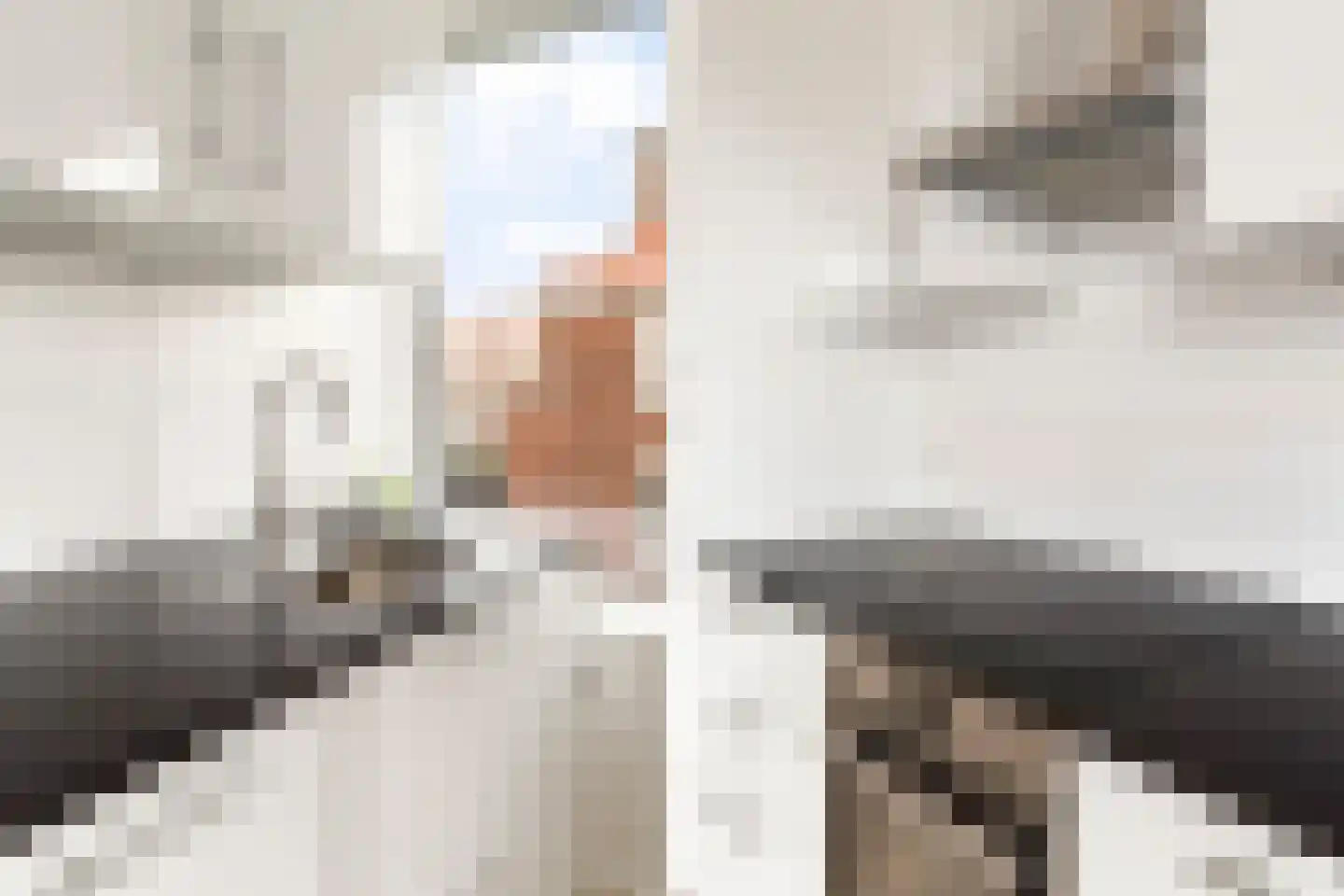 Jaarsveldstraat 254 Den Haag thumbnail 10