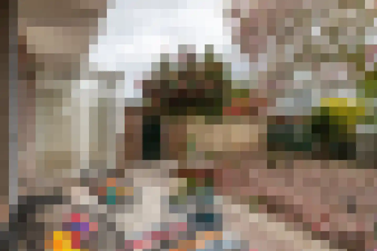 Jaarsveldstraat 44 Den Haag thumbnail 14