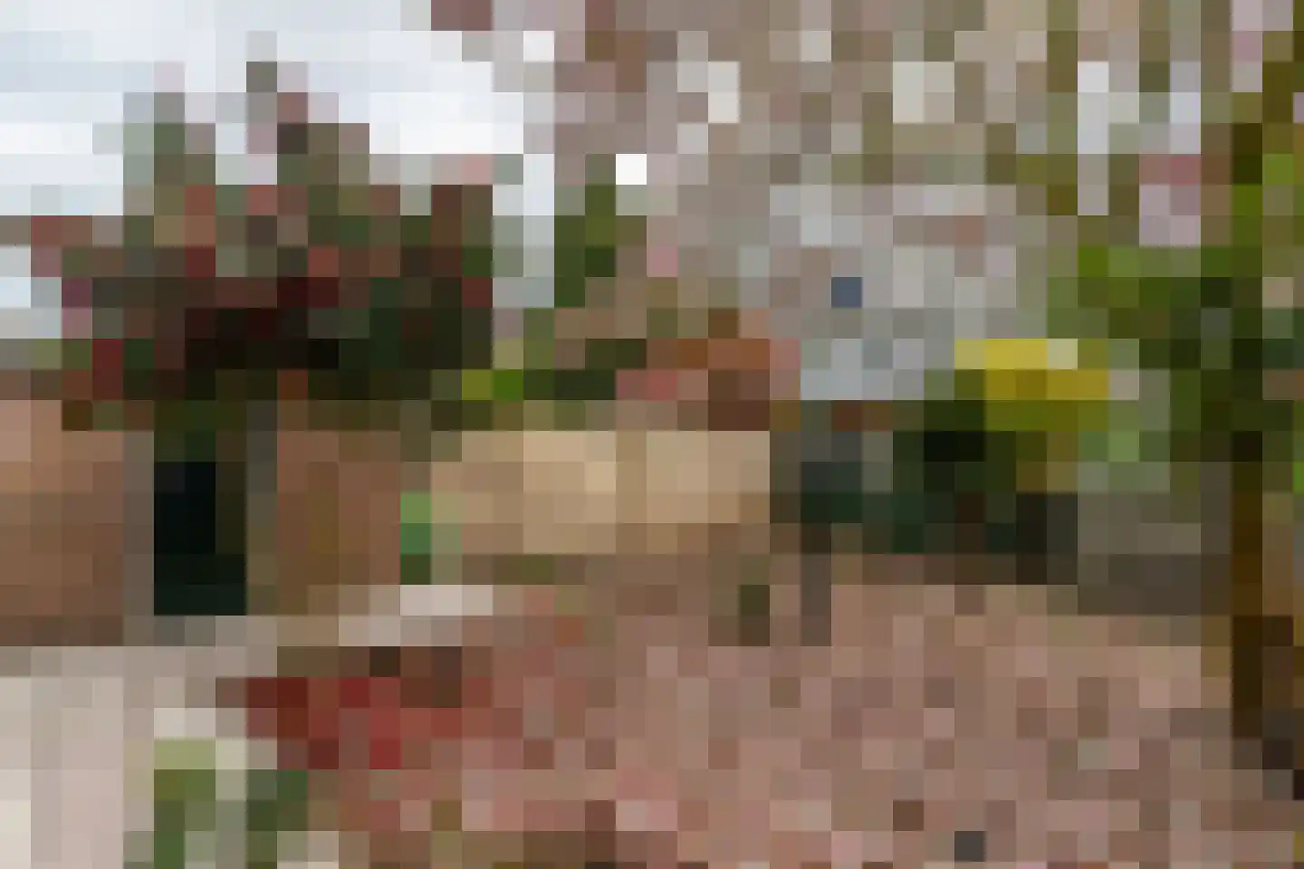 Jaarsveldstraat 44 Den Haag thumbnail 17