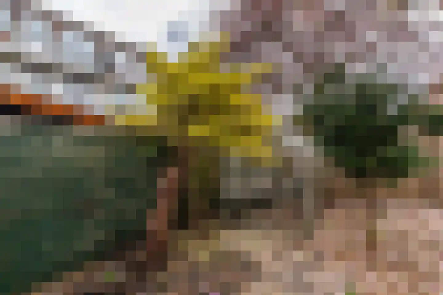 Jaarsveldstraat 44 Den Haag thumbnail 18