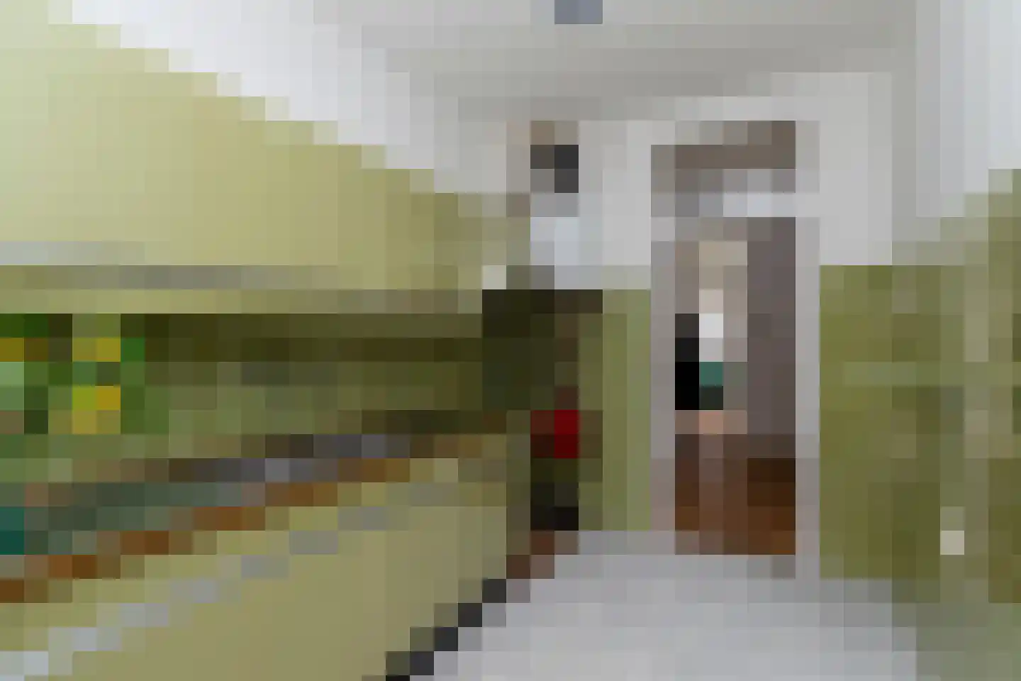 Jaarsveldstraat 44 Den Haag thumbnail 22