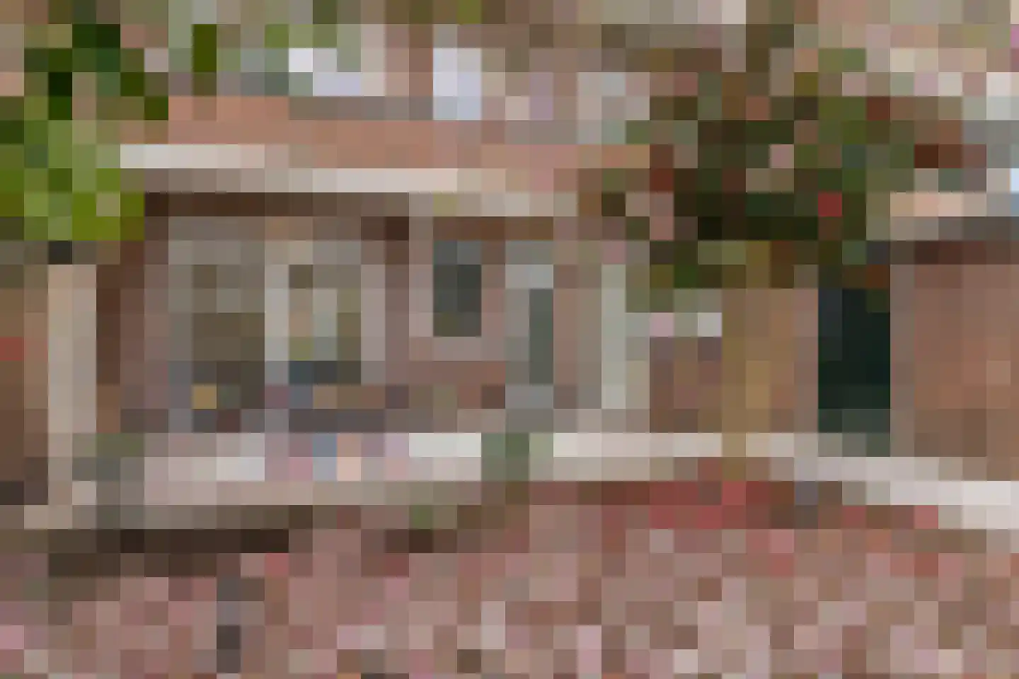 Jaarsveldstraat 44 Den Haag thumbnail 4