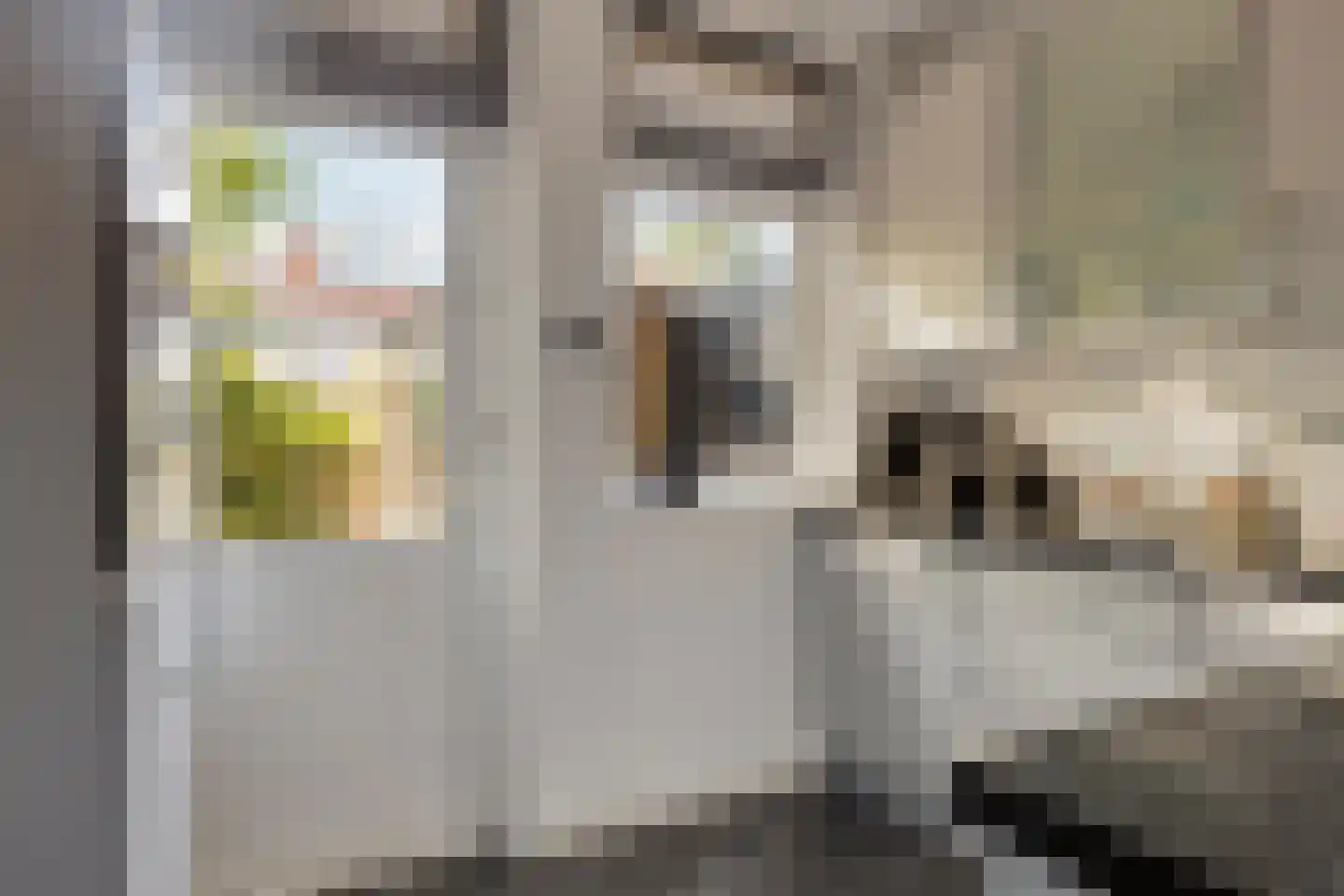 Jaarsveldstraat 65 Den Haag thumbnail 11