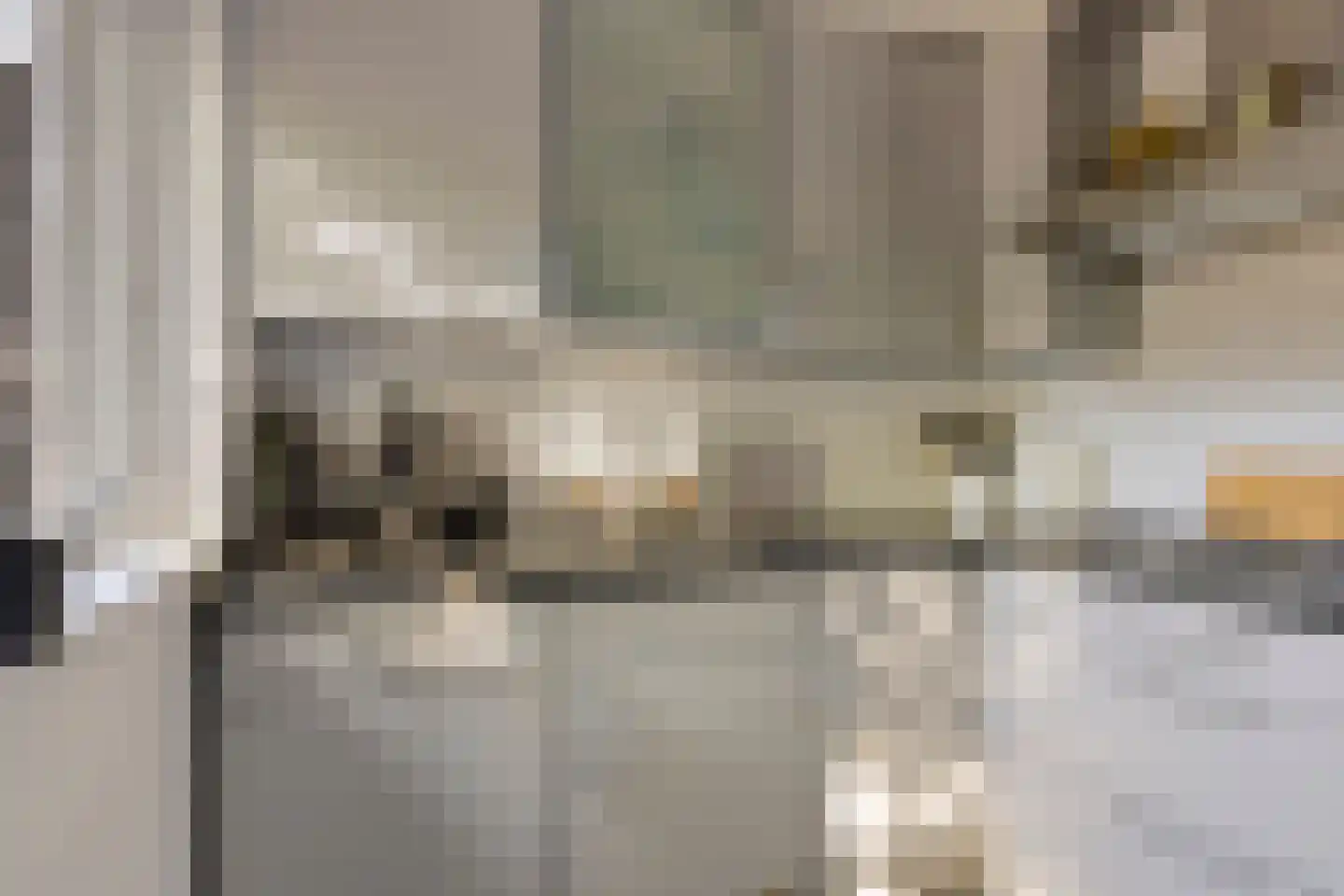 Jaarsveldstraat 65 Den Haag thumbnail 4