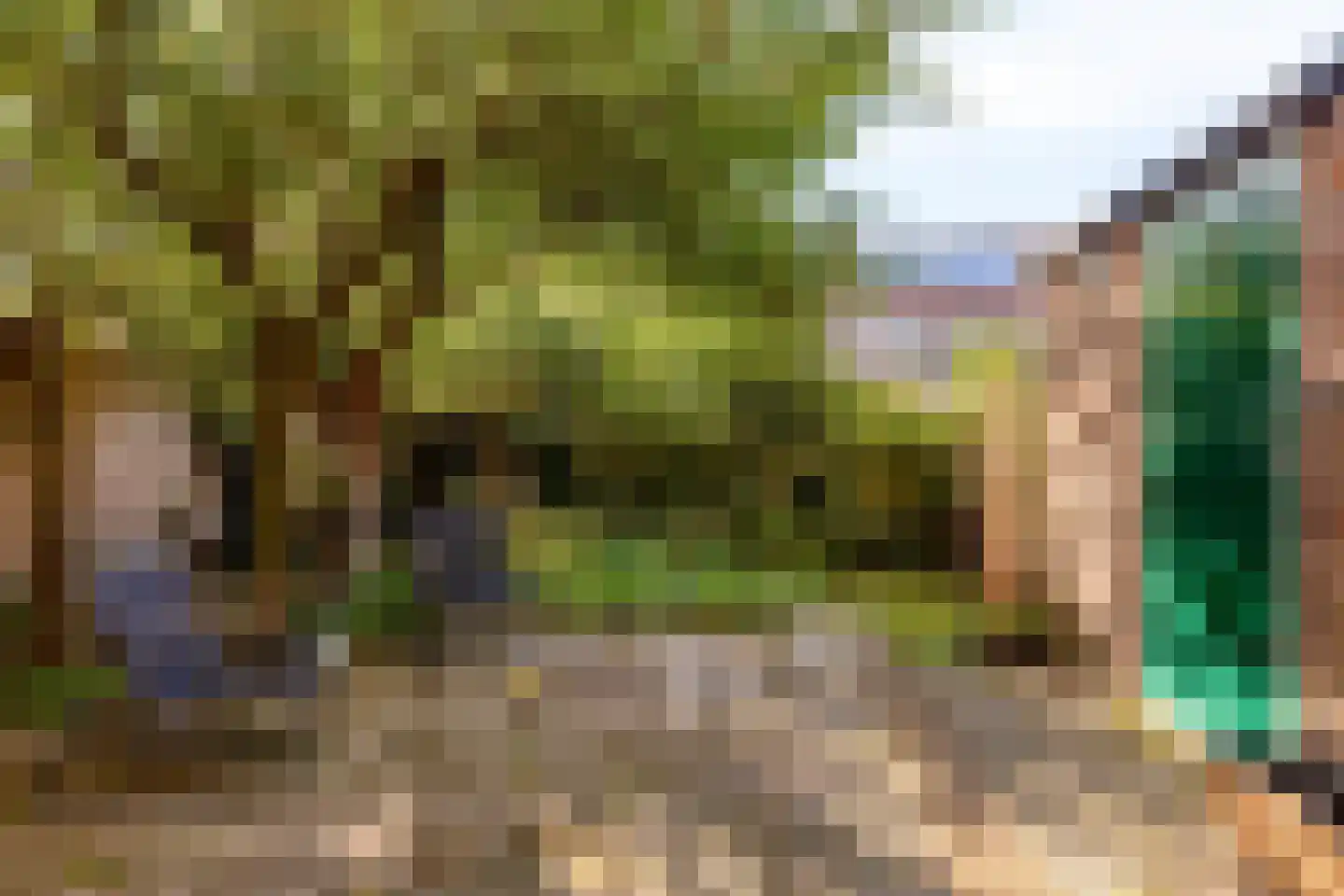 Jaarsveldstraat 65 Den Haag thumbnail 5