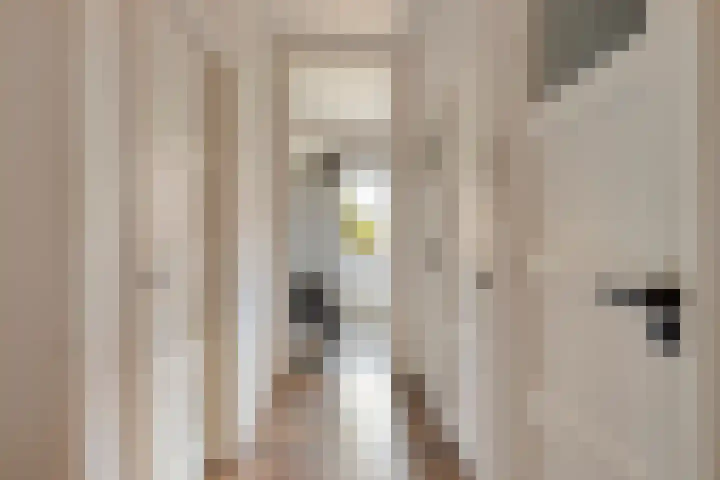 Jaarsveldstraat 65 Den Haag thumbnail 6