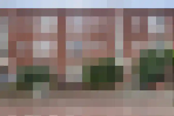 Jaarsveldstraat 79 Den Haag thumbnail 19