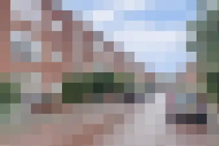 Jaarsveldstraat 79 Den Haag thumbnail 20