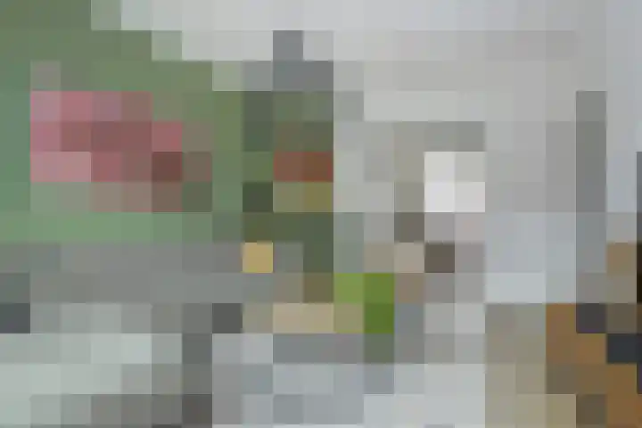 Jaarsveldstraat 79 Den Haag thumbnail 4