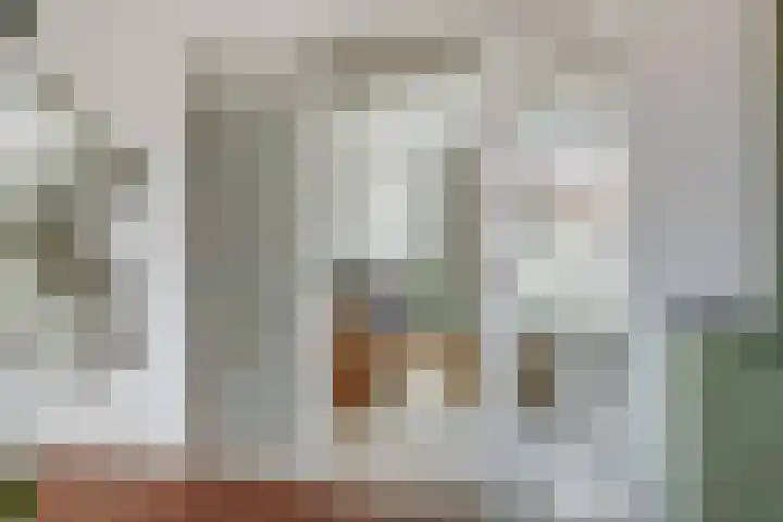 Jaarsveldstraat 79 Den Haag thumbnail 7