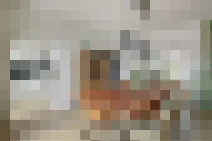 Jaarsveldstraat 79 Den Haag thumbnail 9