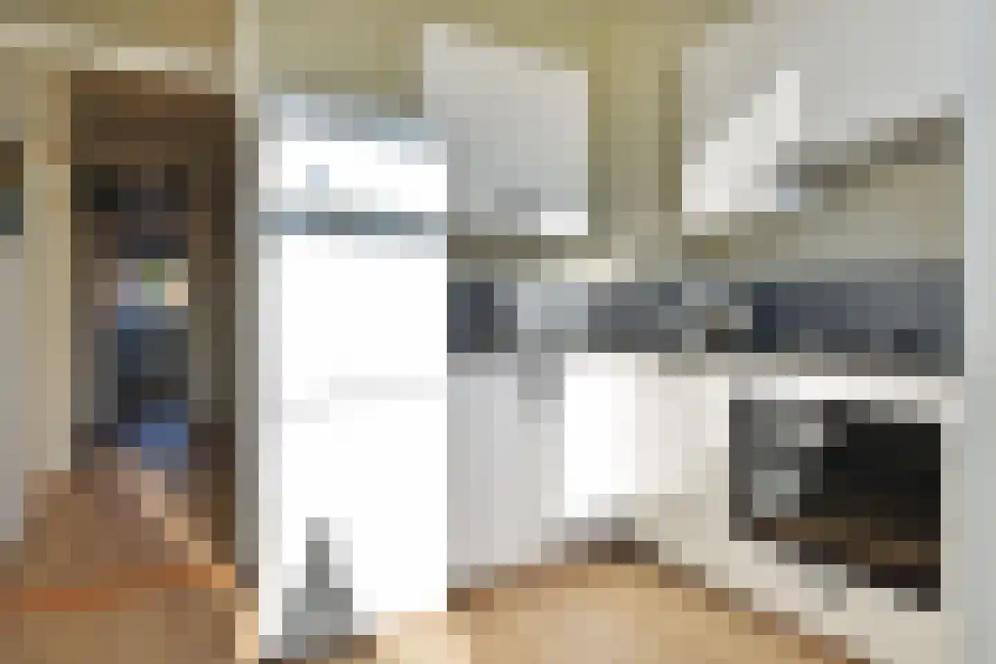 Jaarsveldstraat 84 Den Haag thumbnail 12