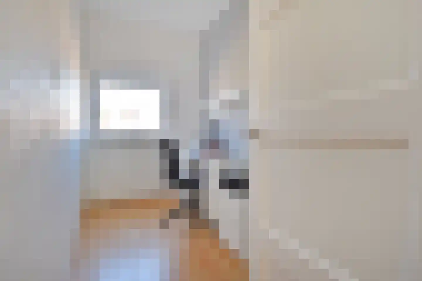 Jaarsveldstraat 84 Den Haag thumbnail 20