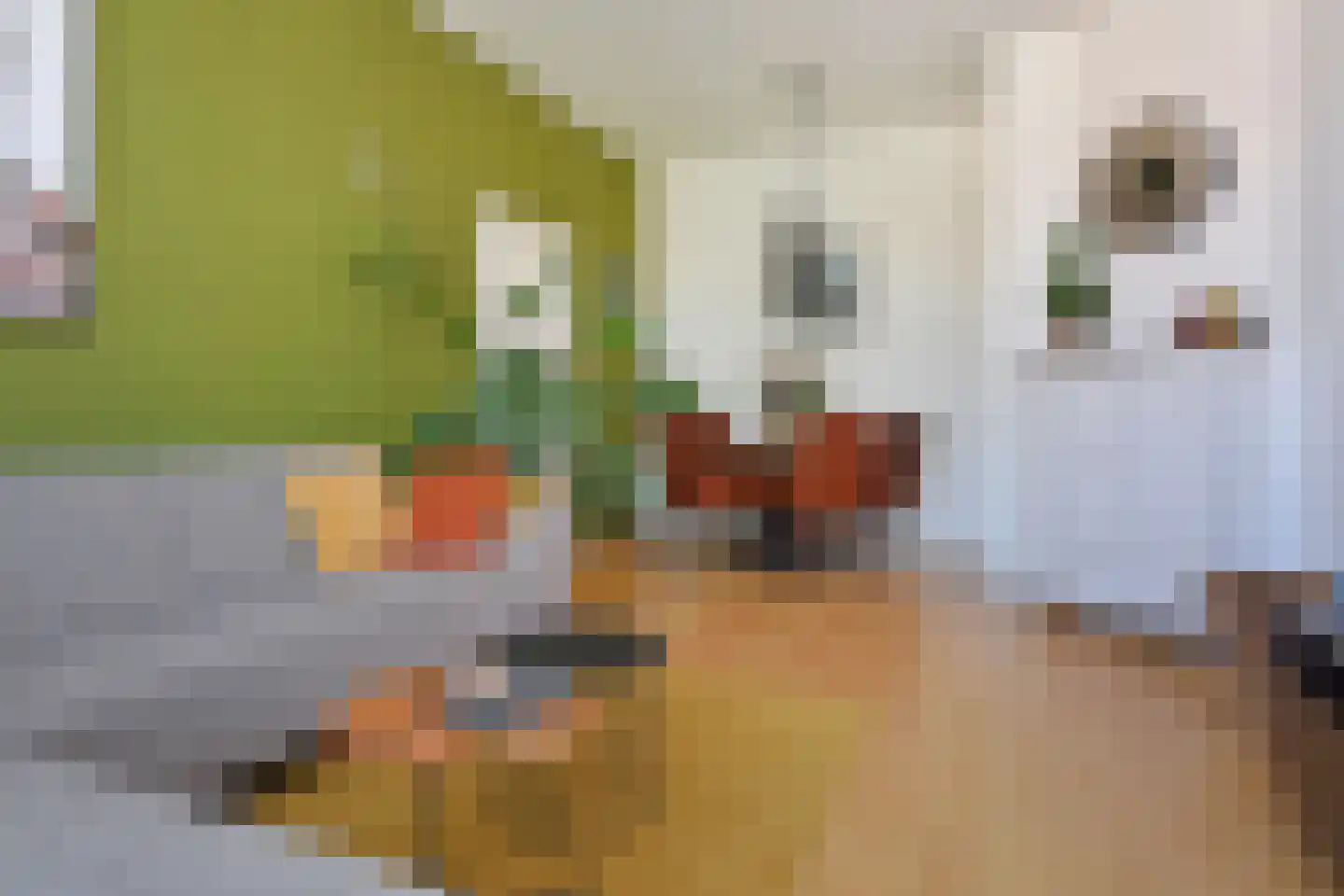 Jaarsveldstraat 84 Den Haag thumbnail 7