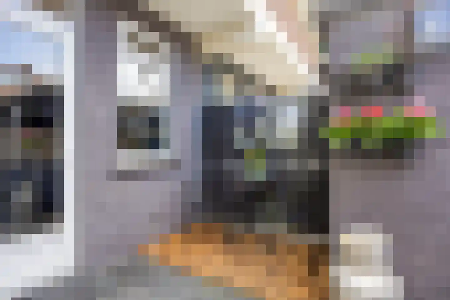 Jaarsveldstraat 87 Den Haag thumbnail 34