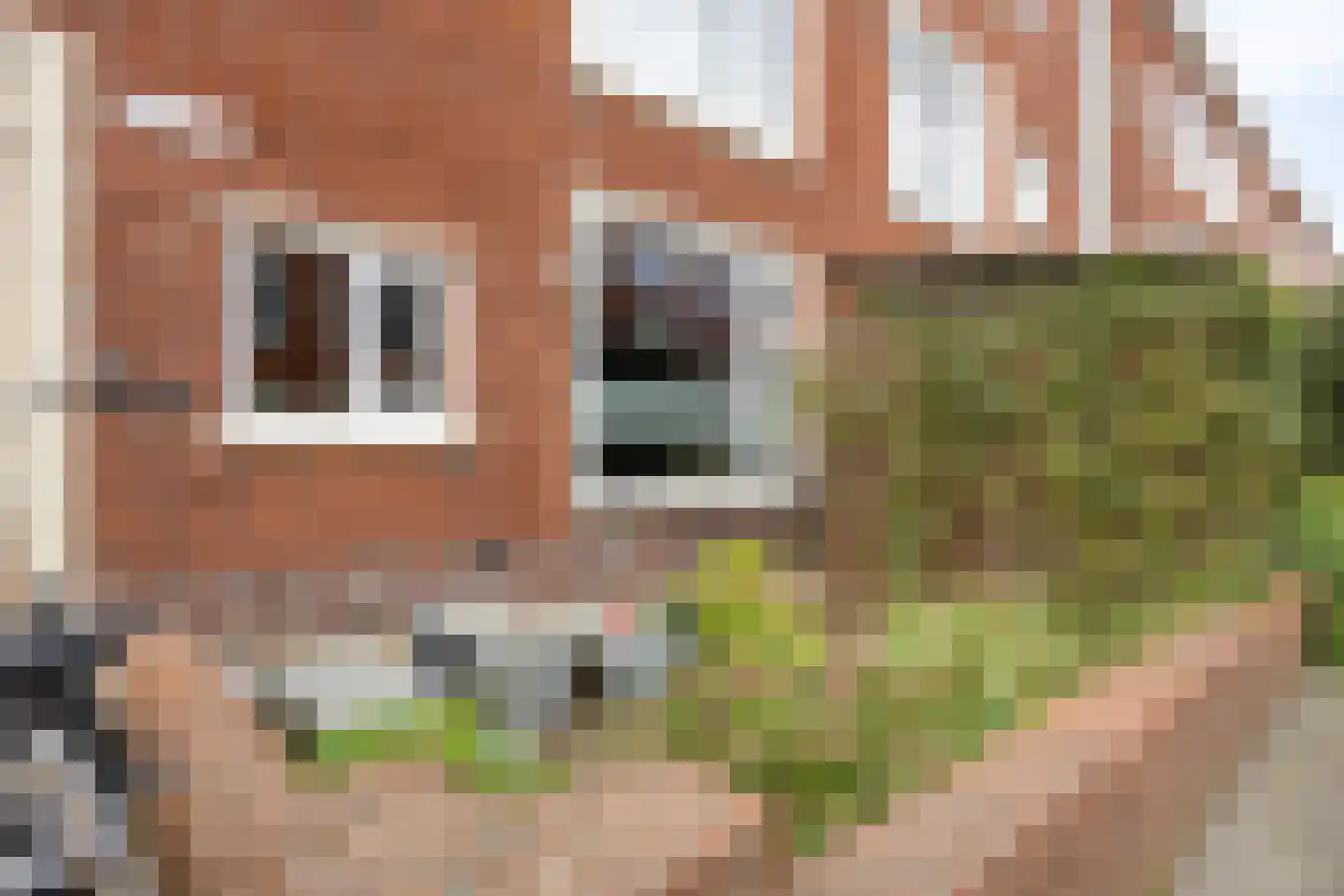 Jaarsveldstraat 87 Den Haag thumbnail 40