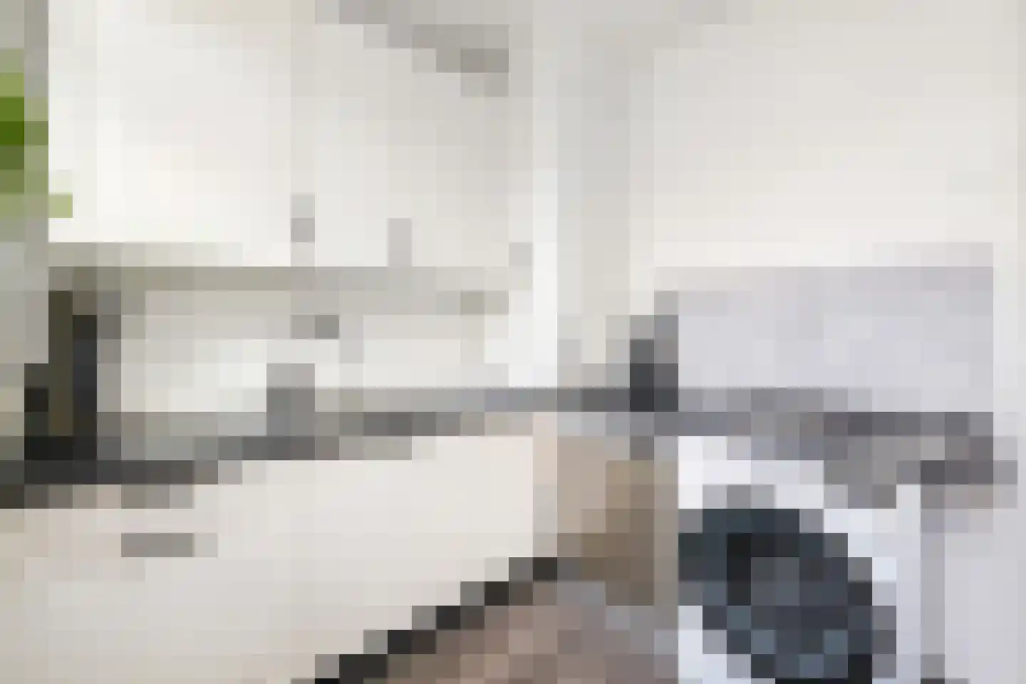 Jaarsveldstraat 95 Den Haag thumbnail 13