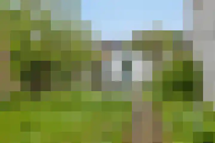 Jaartsveld 28 en Groenlo