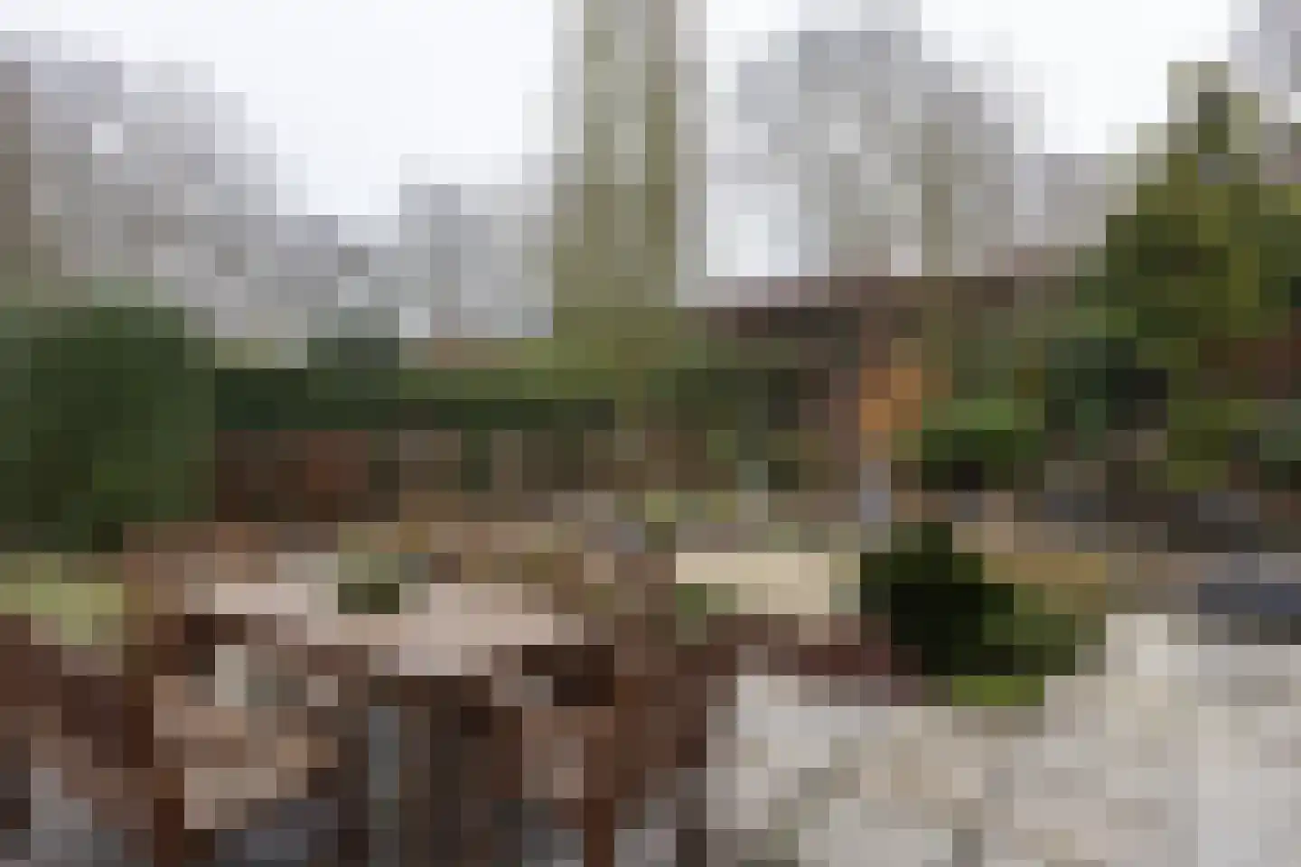 Jaartsveld 28 Groenlo thumbnail 42