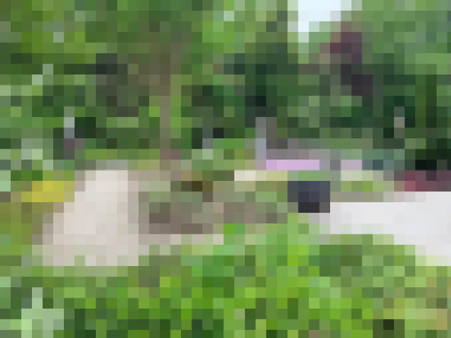 Jaartsveld 28 Groenlo thumbnail 49