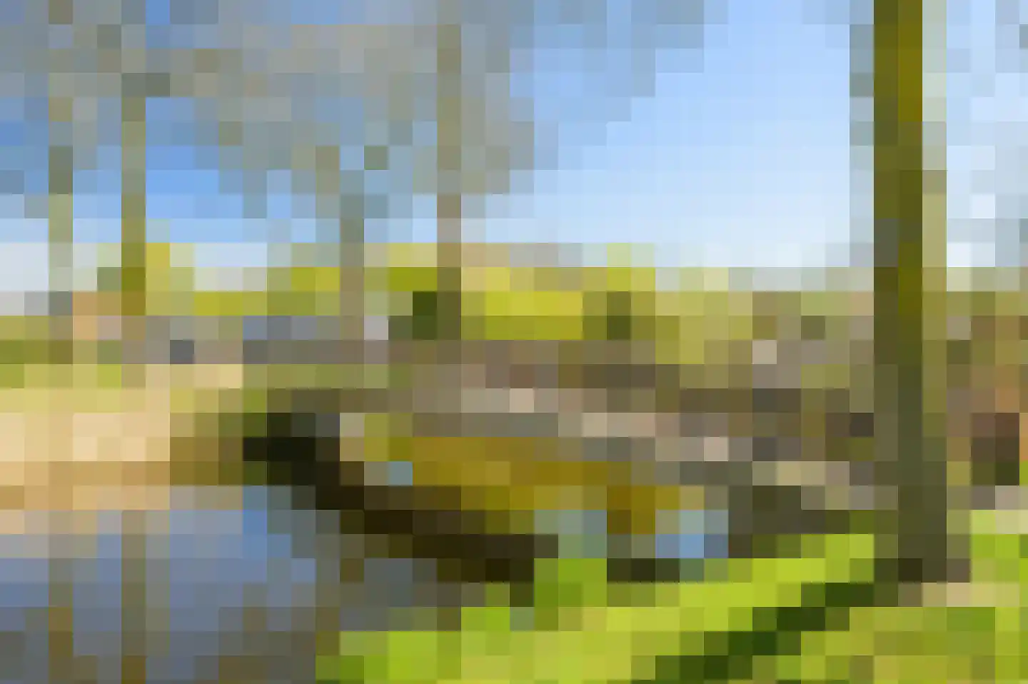 Jabbekeplantsoen 12 Breda thumbnail 34