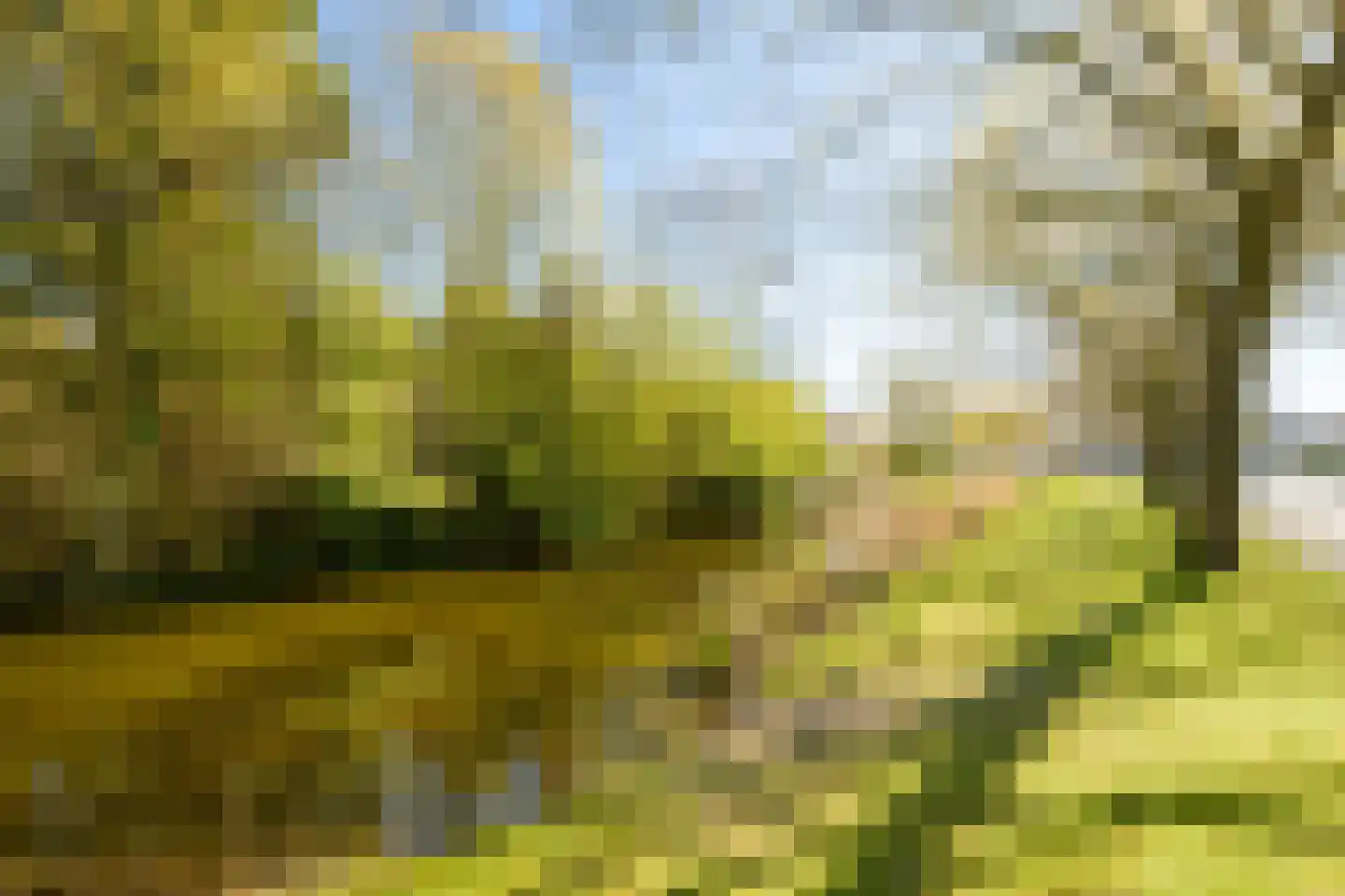 Jabbekeplantsoen 12 Breda thumbnail 35