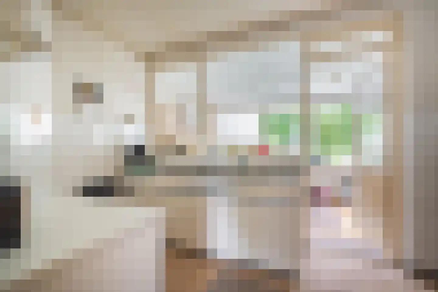 Jabbingelaan 15 Onstwedde thumbnail 13