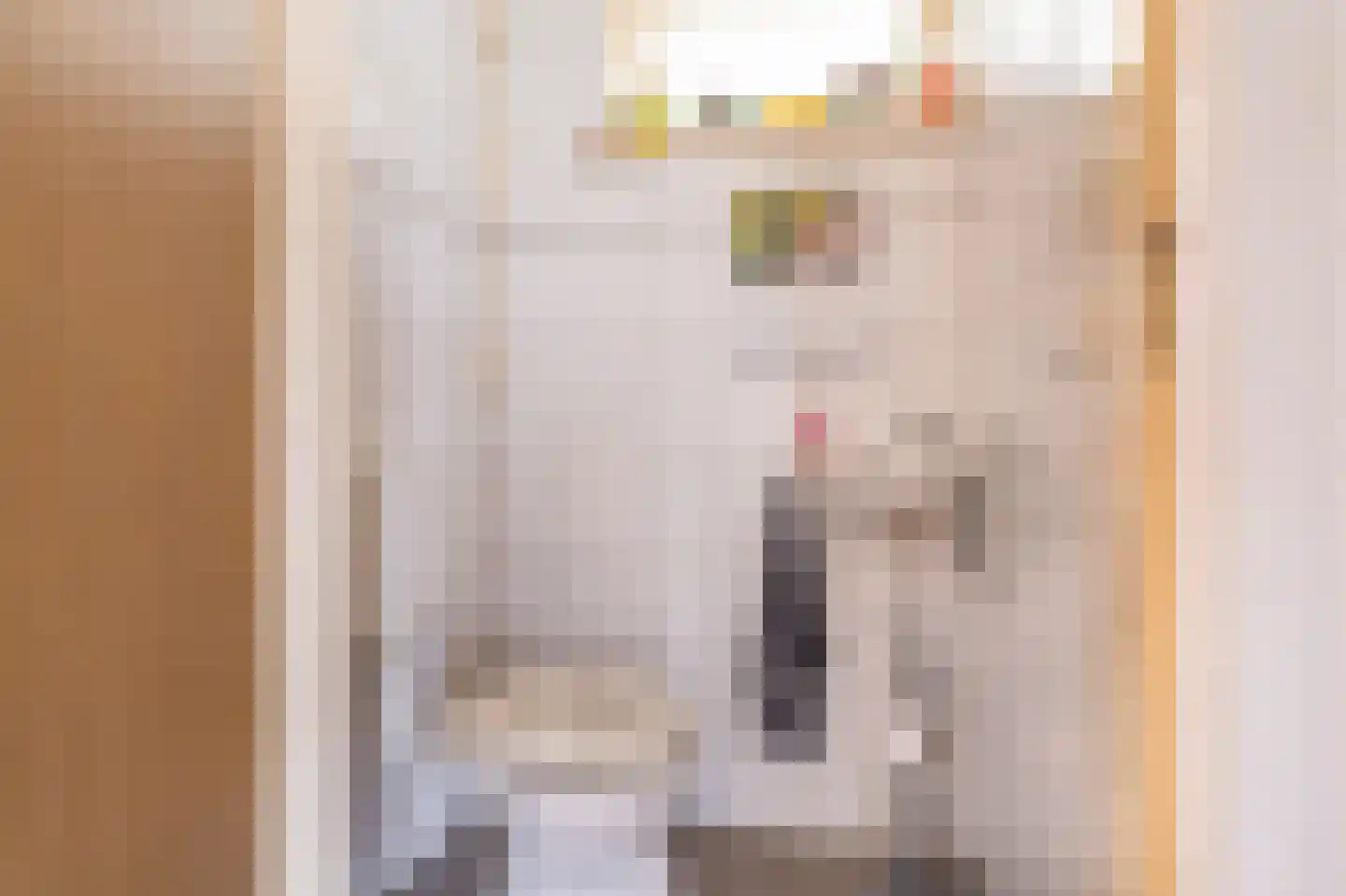Jabbingelaan 15 Onstwedde thumbnail 20
