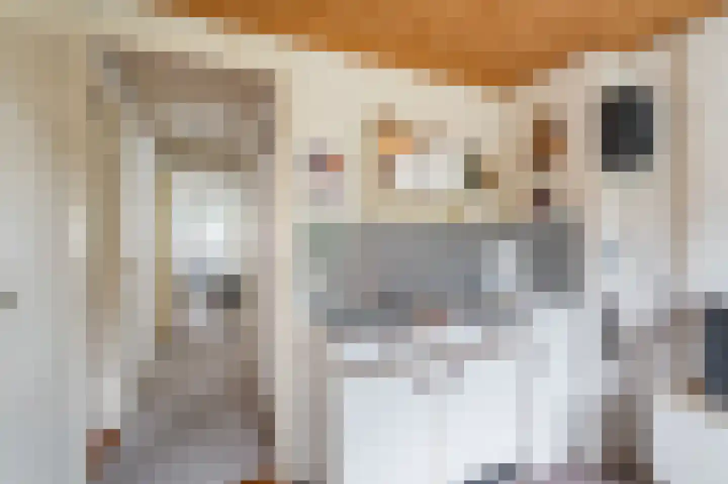Jabbingelaan 15 Onstwedde thumbnail 28