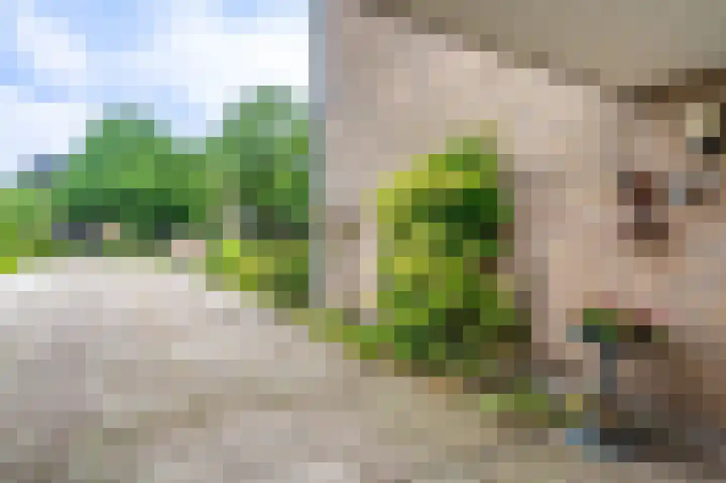 Jabbingelaan 15 Onstwedde thumbnail 7