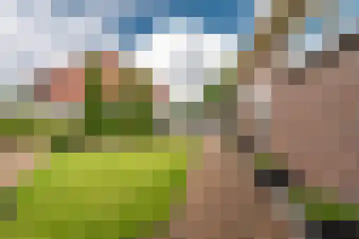 Jabbingelaan 2 Onstwedde thumbnail 12