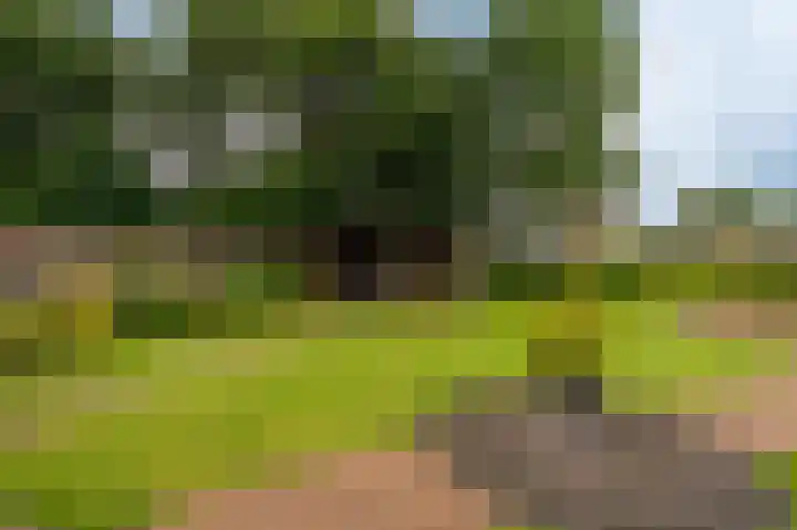Jabbingelaan 2 Onstwedde thumbnail 14