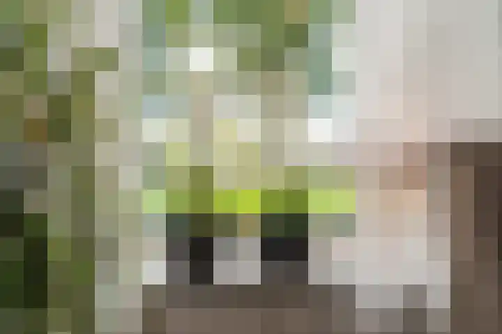Jabbingelaan 2 Onstwedde thumbnail 21