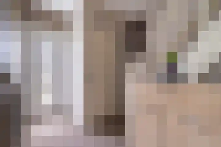 Jabbingelaan 2 Onstwedde thumbnail 38