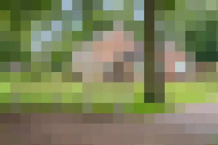 Jabbingelaan 2 Onstwedde thumbnail 4