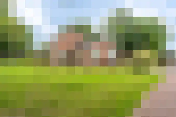 Jabbingelaan 2 Onstwedde thumbnail 9